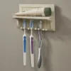 Park Designs Vintage Shelf Toothbrush Holder