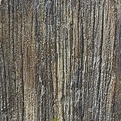 Park Designs Cement Wall Shelf 2 Park Designs Cement Wall Shelf - Image 2