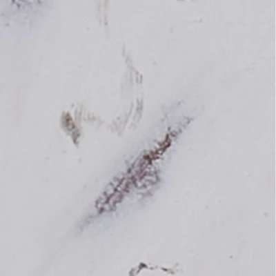 Park Designs Rooster Wood Key Hook Distressed Cream 2 Park Designs Rooster Wood Key Hook Distressed Cream - Image 2